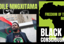 Andile Mngxitama – Video – Black Consciousness